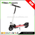 Alloy aluminum and lithium battery in frame electric bike smart ( PN1001A )